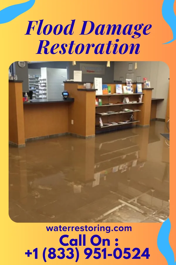 Flood Damage Restoration in Quinnipiac University, CT