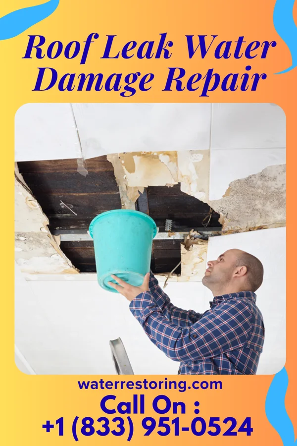 Roof Leak Water Damage Repair in Quinnipiac University, CT